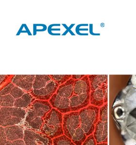 【新製品】APEXEL スマホ顕微鏡 APL-MS200 発売のご案内